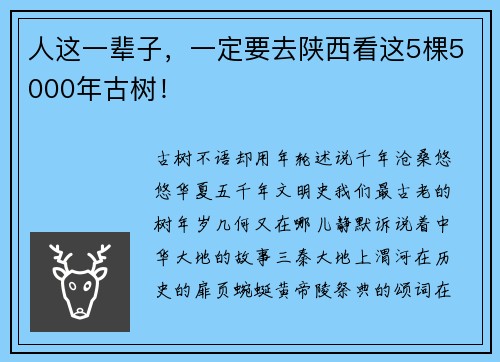 人这一辈子,一定要去陕西看这5棵5000年古树!
