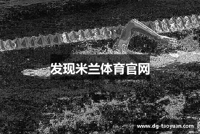 发现米兰体育官网